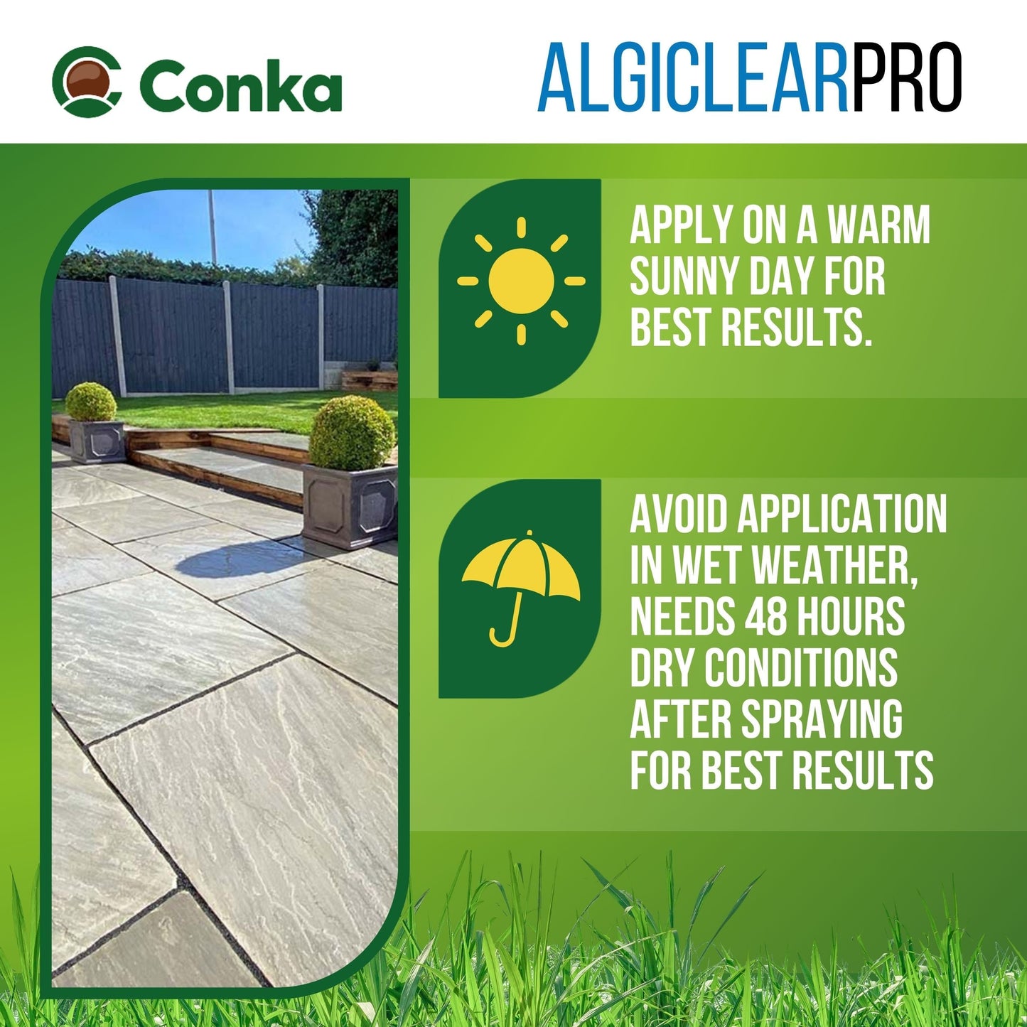 Algiclear Pro Concentrate 5Ltr